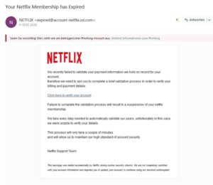 Netflix-Phishing (Screenshot)